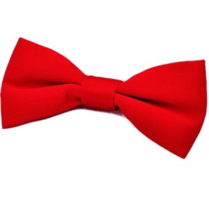 Boys Red Satin Plain Dickie Bow Tie on Elastic